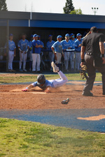 Top Shot