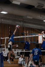 Top Shot