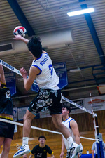 Top Shot