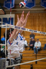 Top Shot
