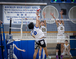 Top Shot