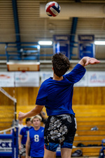 Top Shot