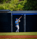 Top Shot