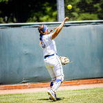 Top Shot