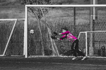 Top Shot