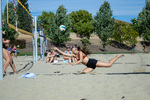 Top Shot