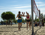 Top Shot