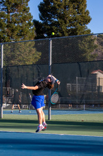 Top Shot