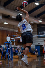 Top Shot
