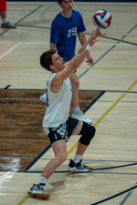 Top Shot
