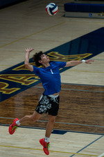 Top Shot