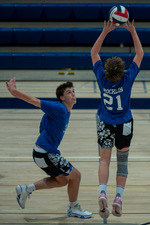Top Shot
