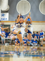 Top Shot