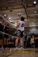 Top Shot