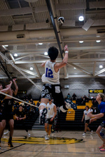 Top Shot