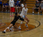 Top Shot