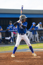 Top Shot