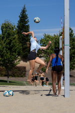 Top Shot