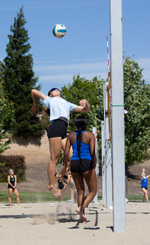 Top Shot