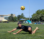 Top Shot