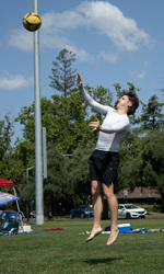 Top Shot