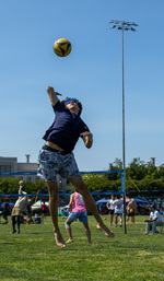 Top Shot