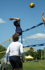 Top Shot